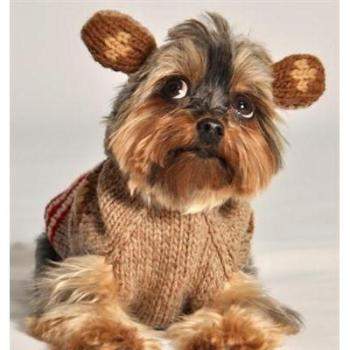 Monkey Hoodie Sweater.