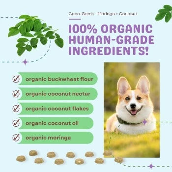 CocoTherapy Coco-Gems Training Treats Moringa + Coconut