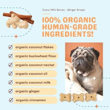 CocoTherapy Coco-Milk Bones Ginger Snaps Biscuit