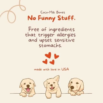 CocoTherapy Coco-Milk Bones Ginger Snaps Biscuit