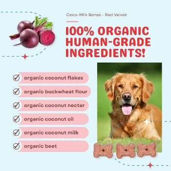 CocoTherapy Coco-Milk Bones Red Velvet Biscuit