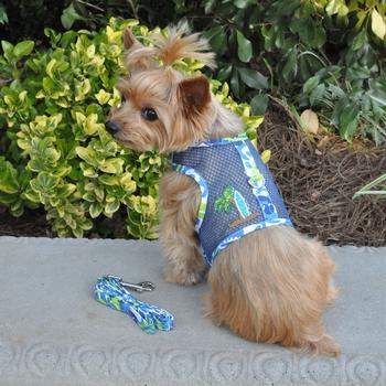 Cool Mesh Dog Harness - Surfboard Blue & Green.