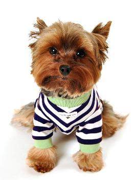 Crown Striped Tee.