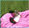 Cuddle Bubble Dog Blanket.