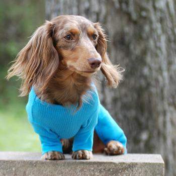 Sweet Dreams Thermal Dog Pajamas - Blue.