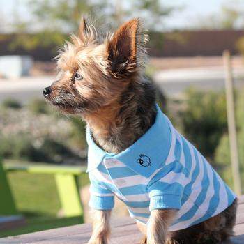 Striped Dog Polo - Blue Niagara and White.
