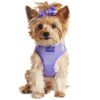 Wrap & Snap Choke Free Dog Harness - Paisley Purple.