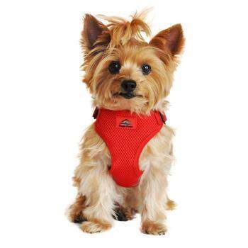 Wrap & Snap Choke Free Dog Harness - Flame Red.