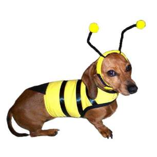 Doggie Design Bumble Bee Dog Costume.