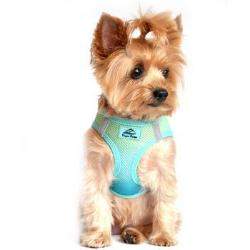 American River Ombre Choke-Free Dog Harness - Aruba Blue.