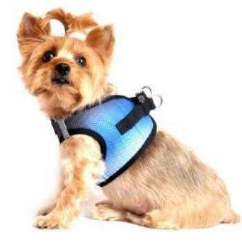 American River Ombre Choke-Free Dog Harness - Midnight Sky.