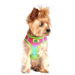 American River Ombre Choke-Free Dog Harness - Rainbow.