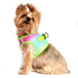 American River Ombre Choke-Free Dog Harness - Rainbow.
