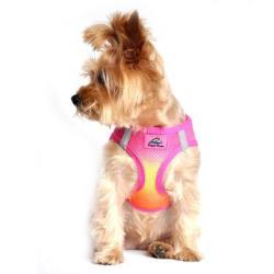 American River Ombre Choke-Free Dog Harness - Raspberry Pink & Orange.