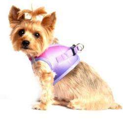 American River Ombre Choke-Free Dog Harness - Raspberry Sundae.