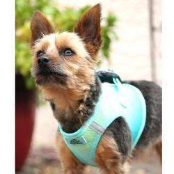 American River Ombre Choke-Free Dog Harness - Aruba Blue.