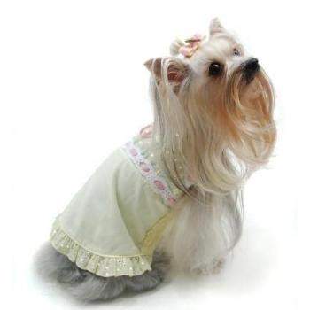 Got My Eye On You Eyelet Dress.