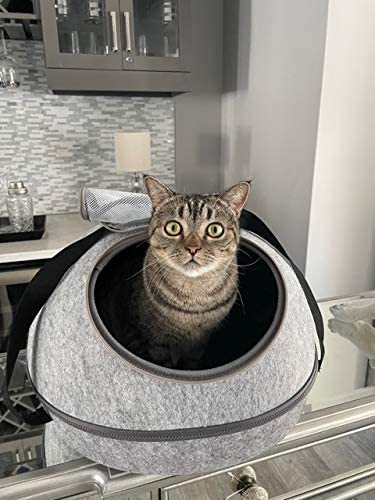 Doc & Phoebe Sleep & Go Convertible Carrier