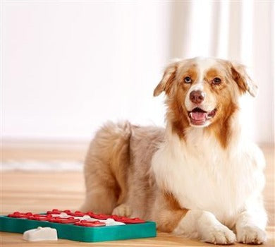 Nina Ottosson Dog Brick.