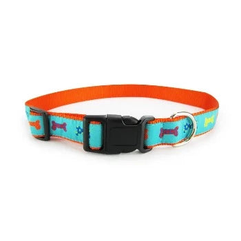 Party Bones Collar & Leash Collection