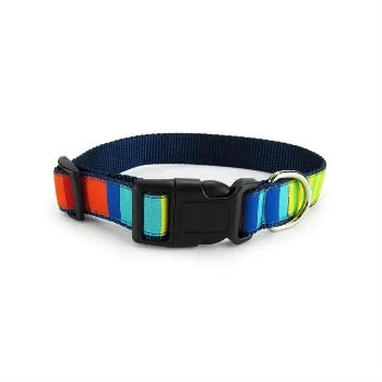 Party Stripes Collar & Leash Collection