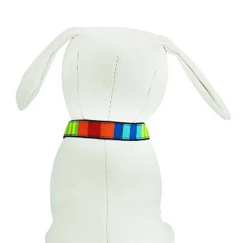 Party Stripes Collar & Leash Collection