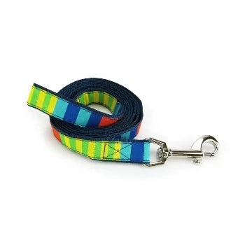 Party Stripes Collar & Leash Collection