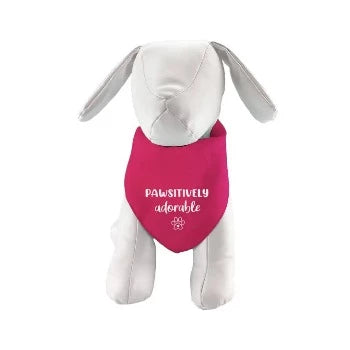 Dog & Me Pawsitively Adorable Dog Bandana