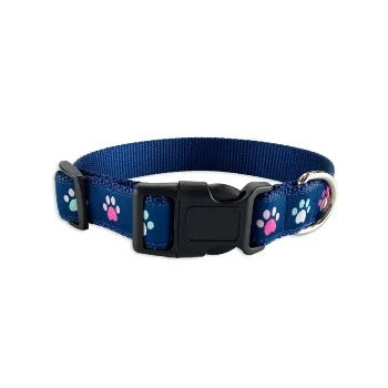 Trendy Paws Collar & Leash Collection