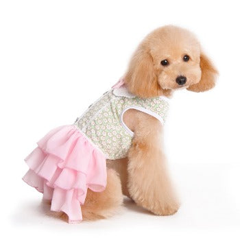 Dog_Modeling_Dogo_Design_Gatsby_Floral_Dog_Dress_Front_View2