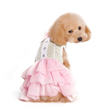 Dog_Modeling_Dogo_Design_Gatsby_Floral_Dog_Dress_Front_View