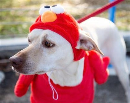 Elmo Costume.
