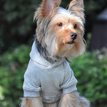 Flex-Fit Dog Hoodie - Gray.