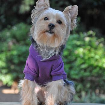 Flex-Fit Dog Hoodie - Purple.