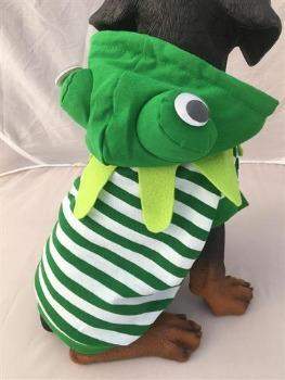 Frog Costume.
