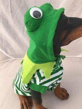 Frog Costume.