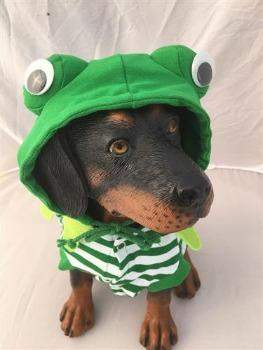 Frog Costume.