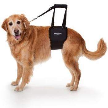GingerLead Dog Sling Support Harness.