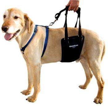GingerLead Dog Sling Support Harness.