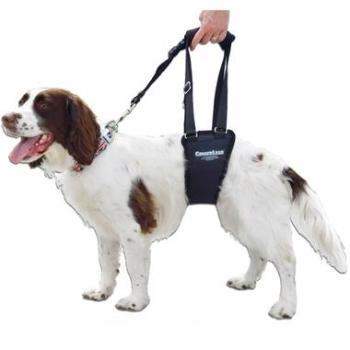 GingerLead Dog Sling Support Harness.