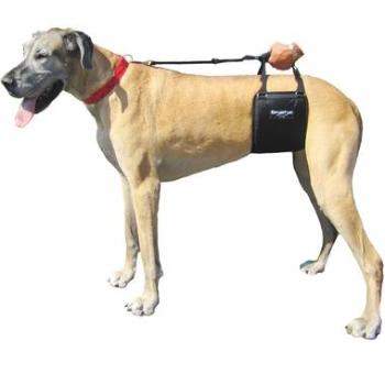 GingerLead Dog Sling Support Harness.