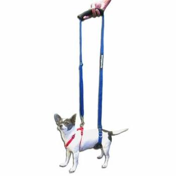 GingerLead Dog Sling Support Harness.