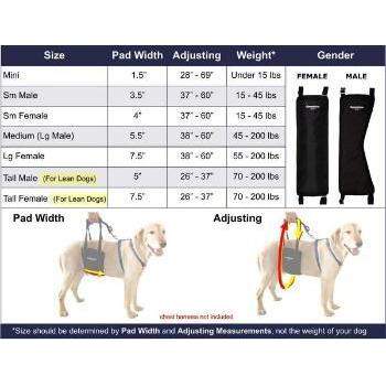 GingerLead Dog Sling Support Harness.