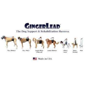 GingerLead Dog Sling Support Harness.