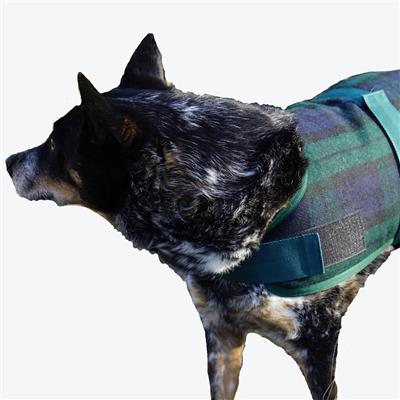 HuggleHounds Plaid Wool Blanket Coat.
