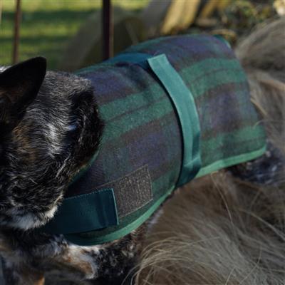 HuggleHounds Plaid Wool Blanket Coat.