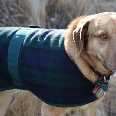 HuggleHounds Plaid Wool Blanket Coat.