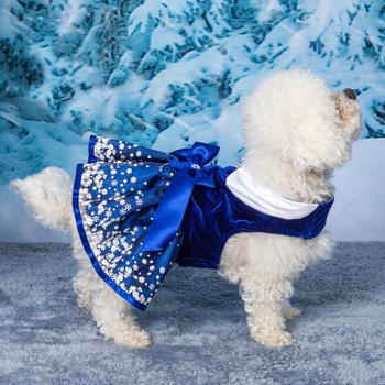 Snowflakes Dress with Matching Leash.