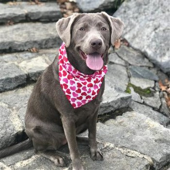 Pink & Red Hearts Bandana