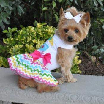 Dog wearing Ice Cream Cart harness dress with multicolor chevron stripe skirt and pink bow